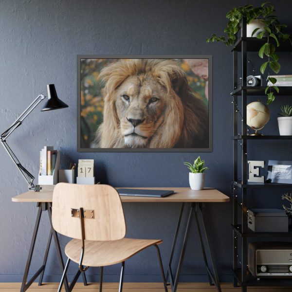 93855-58.jpg Lion Face Closeup Framed Poster