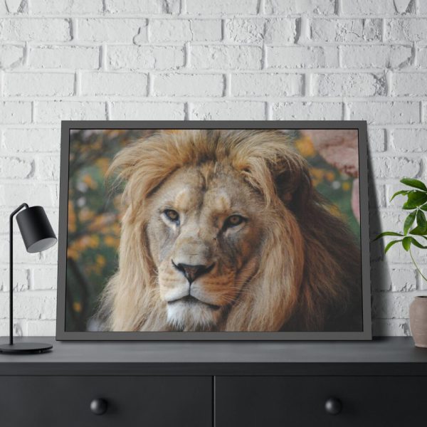 93855-59.jpg Lion Face Closeup Framed Poster