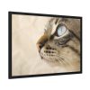 93855-593.jpg Cat with Large Blue Eye Framed Poster