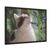 93855-597.jpg Cat and Lavender Framed Poster