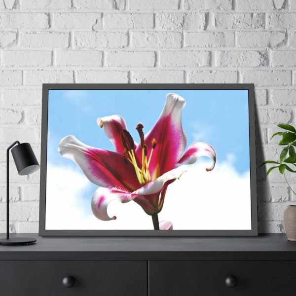 Garden Lily  Framed Poster