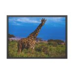 Giraffe in the Wild Framed Poster - Image 5