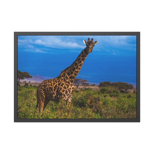 Giraffe in the Wild Framed Poster