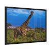 Giraffe in the Wild Framed Poster