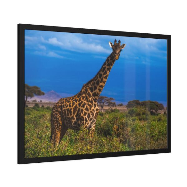 Giraffe in the Wild Framed Poster