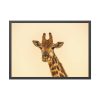 93855-620.jpg A Close up Geoffrey The Giraffe Framed Poster