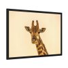 93855-621.jpg A Close up Geoffrey The Giraffe Framed Poster