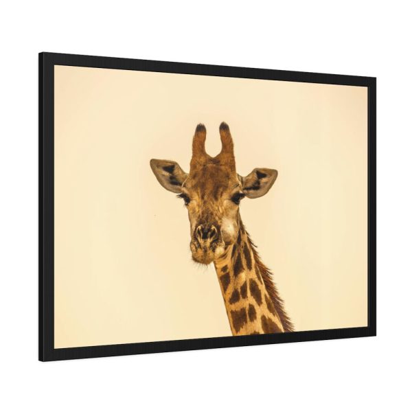 93855-621.jpg A Close up Geoffrey The Giraffe Framed Poster