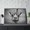 93855-627.jpg Giraffe in Monotone Framed Poster