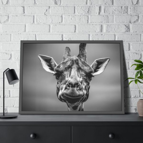 93855-627.jpg Giraffe in Monotone Framed Poster