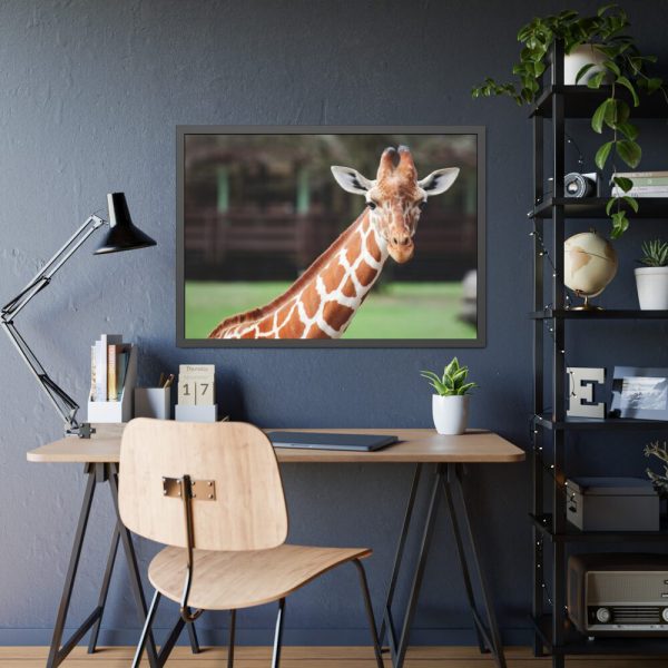 Giraffe at The Montgomery Zoo in Oak Park Framed Poster