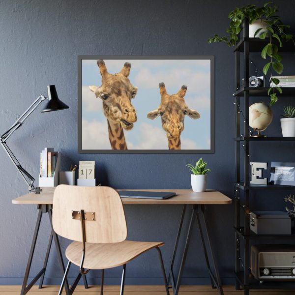 93855-638.jpg Two Giraffe Face Close-up Framed Poster