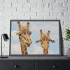 93855-639.jpg Two Giraffe Face Close-up Framed Poster