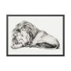 93855-64.jpg Lying Lion by Jean Bernard Framed Poster
