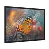 93855-641.jpg Butterfly Admiral Insect Framed Poster