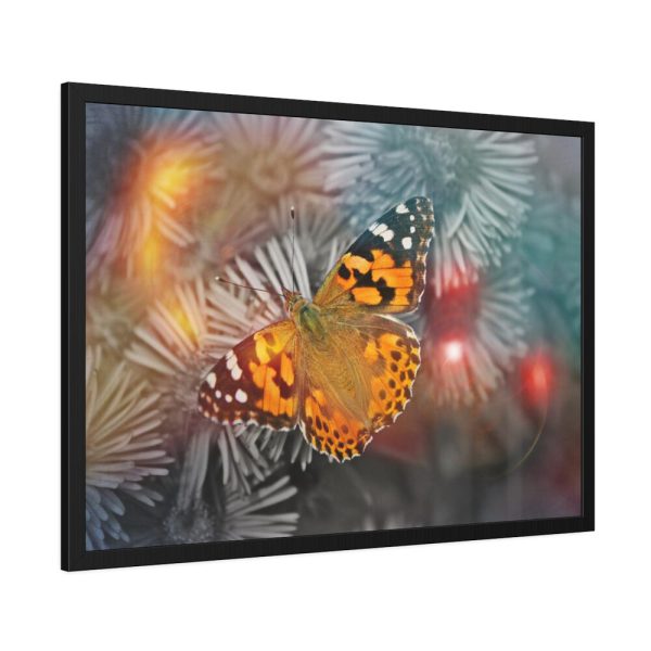 93855-641.jpg Butterfly Admiral Insect Framed Poster