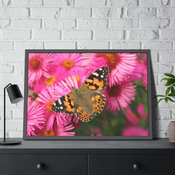 93855-647.jpg Butterfly on Pink Flower Framed Poster