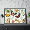 Butterfly Vintage Collage Sky Framed Poster
