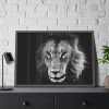Barbary Lion Face Closeup Framed Poster