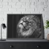 Male Lion Head Closeup Framed Poster