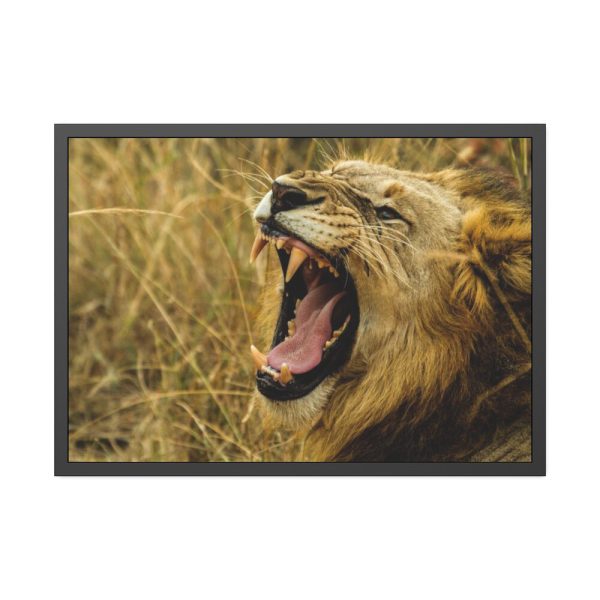 Lion Roar Wild Life Framed Poster