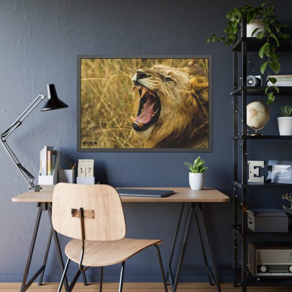 Lion Roar Wild Life Framed Poster