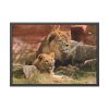 Lion South Africa Framed Poster