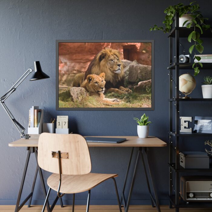 Lion South Africa Framed Poster - Image 7