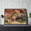 Lion South Africa Framed Poster