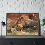 Lion South Africa Framed Poster - Image 8