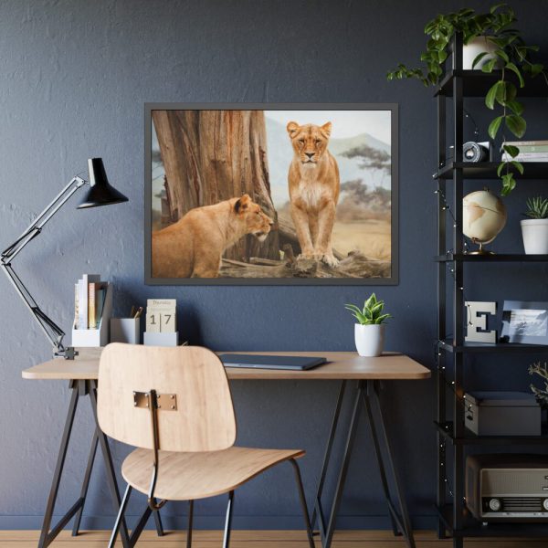 Female Lion Framed Poster