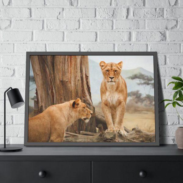Female Lion Framed Poster