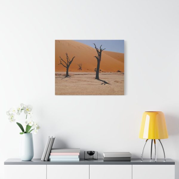 101410-2.jpg Desolate Trees in the Sandy Desert of Deadvlei Hiking Trail Standard Canvas