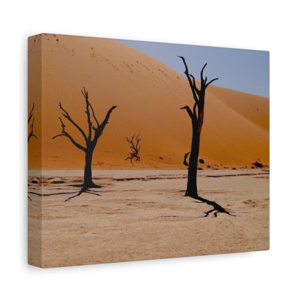 101412-1.jpg Desolate Trees in the Sandy Desert of Deadvlei Hiking Trail Standard Canvas