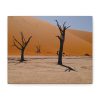 101412.jpg Desolate Trees in the Sandy Desert of Deadvlei Hiking Trail Standard Canvas