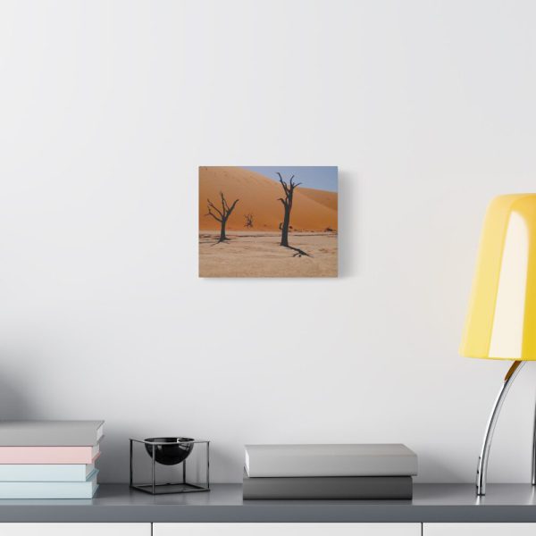 101412-2.jpg Desolate Trees in the Sandy Desert of Deadvlei Hiking Trail Standard Canvas