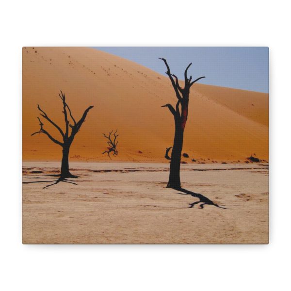 101412.jpg Desolate Trees in the Sandy Desert of Deadvlei Hiking Trail Standard Canvas