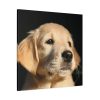 101419-10.jpg Little Golden Retriever Standard Canvas
