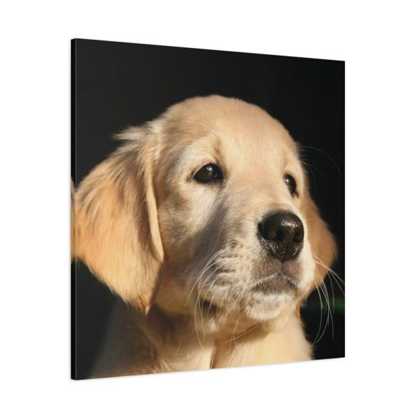 101419-10.jpg Little Golden Retriever Standard Canvas