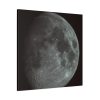 Full Moon Standard Canvas