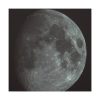 Full Moon Standard Canvas