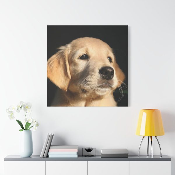 101419-12.jpg Little Golden Retriever Standard Canvas
