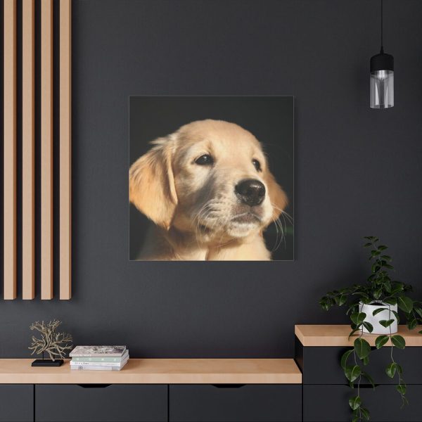 101419-13.jpg Little Golden Retriever Standard Canvas