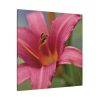 Blooming Flower Pink Standard Canvas
