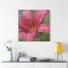 Blooming Flower Pink Standard Canvas