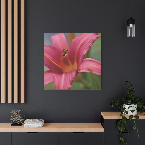 Blooming Flower Pink Standard Canvas