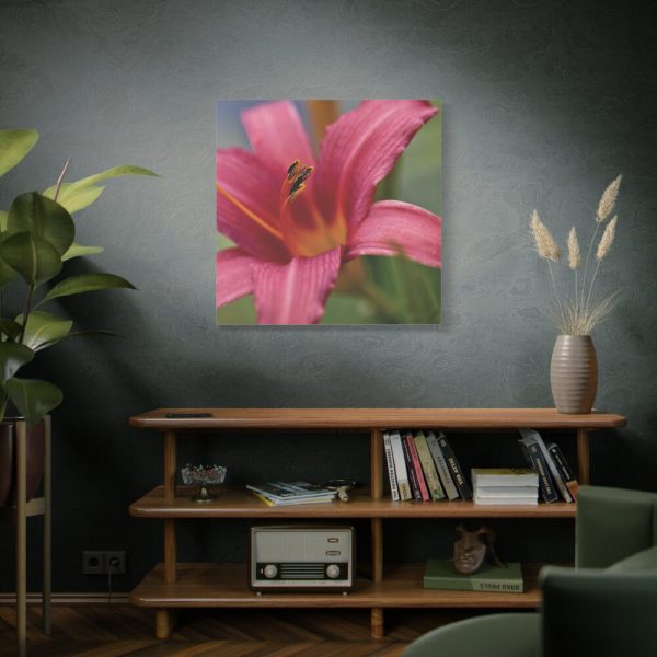 Blooming Flower Pink Standard Canvas