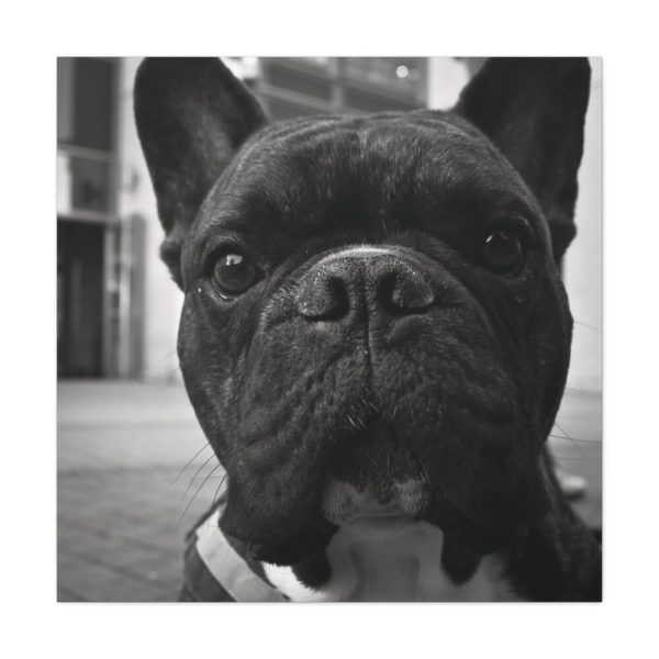 101419-20.jpg French Bulldog Standard Canvas