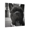 101419-21.jpg French Bulldog Standard Canvas