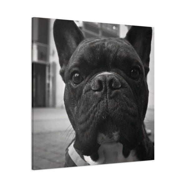 101419-21.jpg French Bulldog Standard Canvas